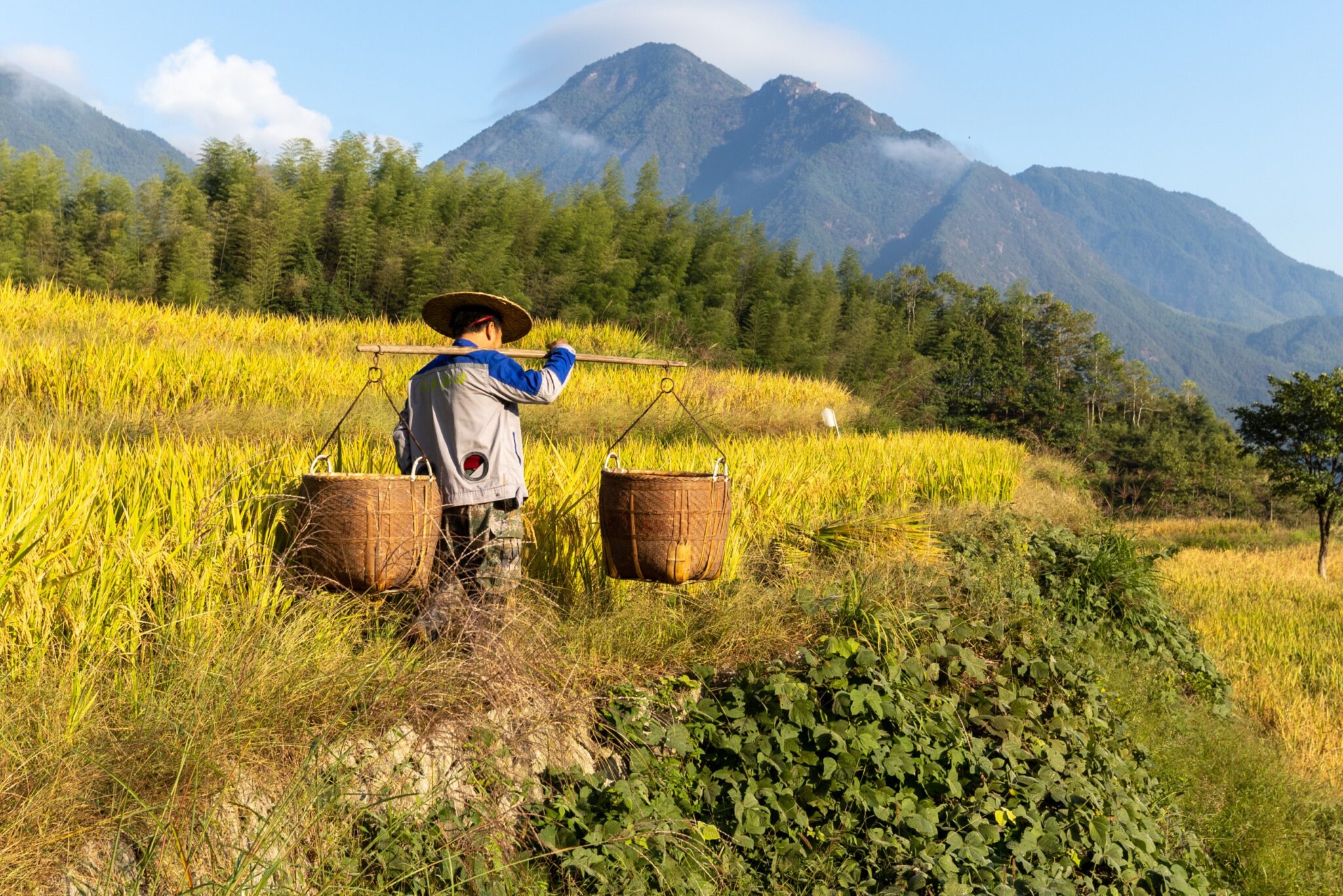 10 Pioneering Initiatives That Are Restoring The Natural World