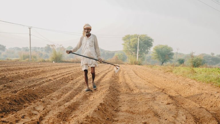 Global Bihari