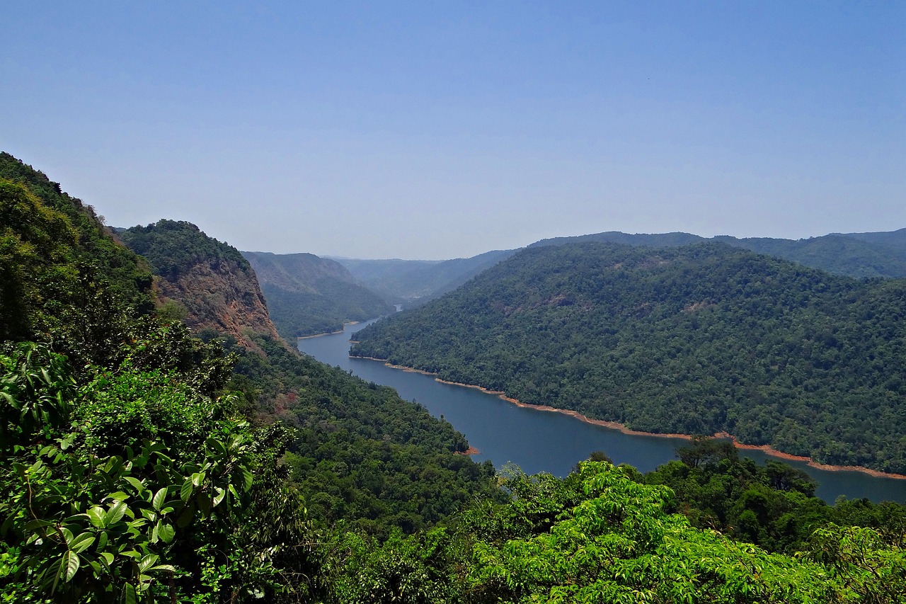 62 DT plant species discovered in the Western Ghats