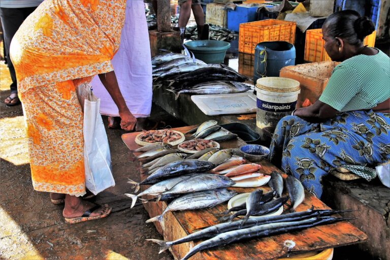 fish-market-3249572_1280