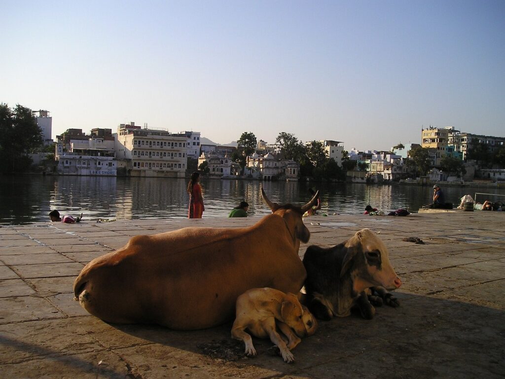 Global Bihari