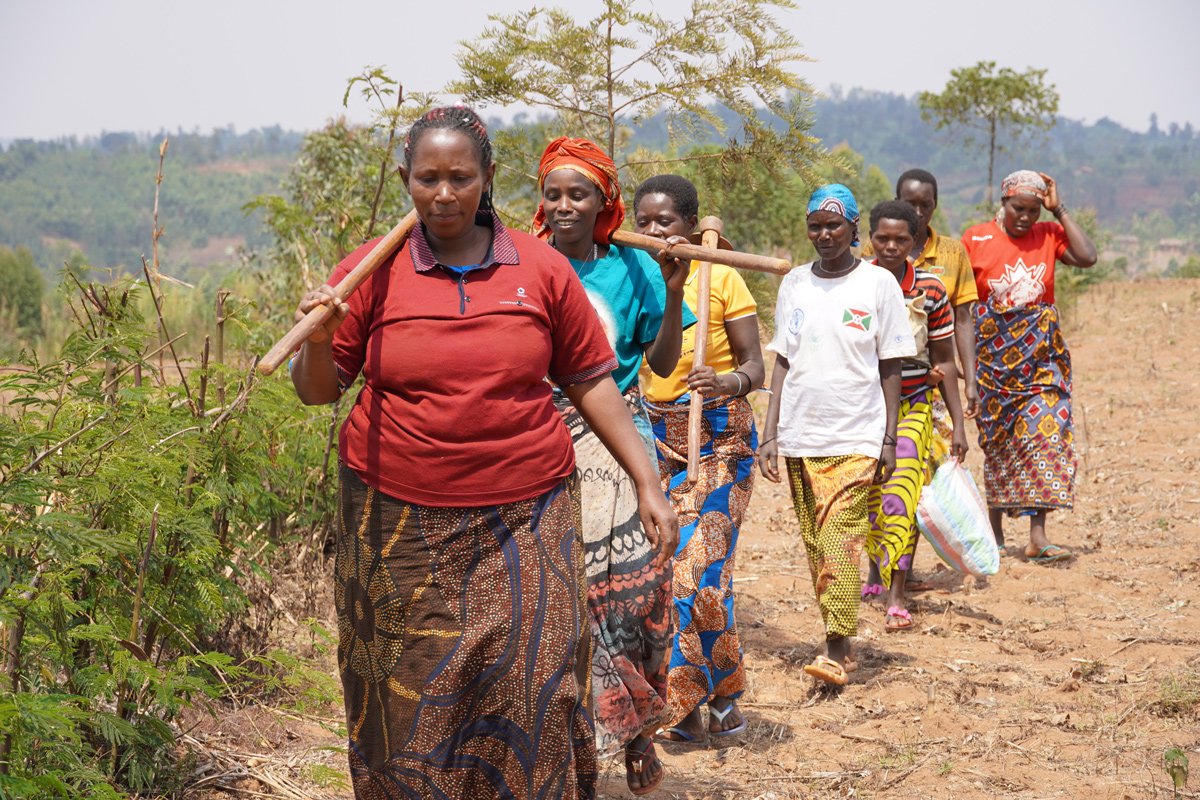 Transforming farming in Burundi