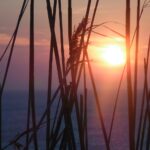 hekazone-heatwave-2451179_1280