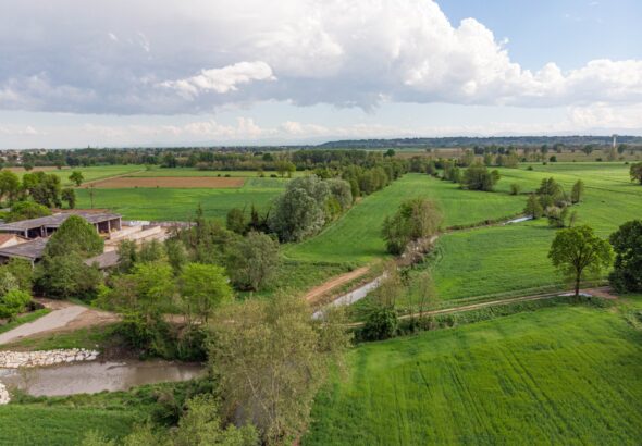 paskvi-plain-6533174