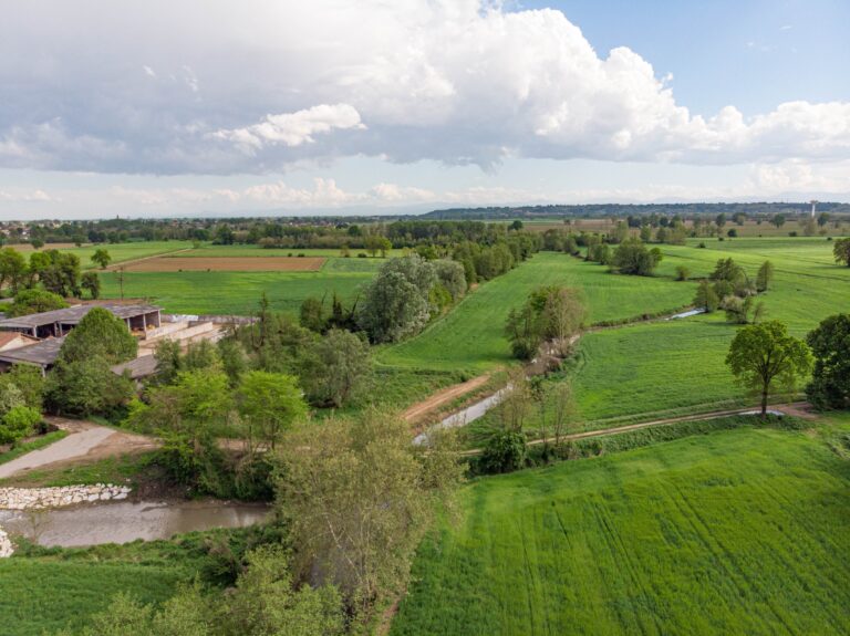 paskvi-plain-6533174